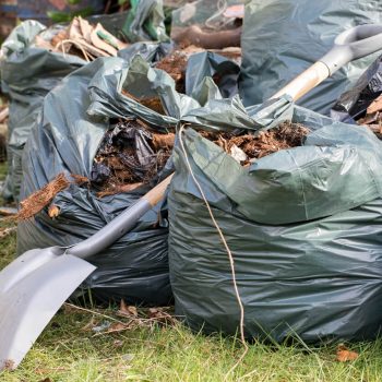 Can you put garden waste in a skip?