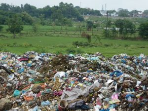 Rubbish Removal and Public Health