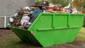 what are skip bins?