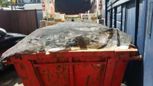 What Not to Put in Skip Bins: A Comprehensive List