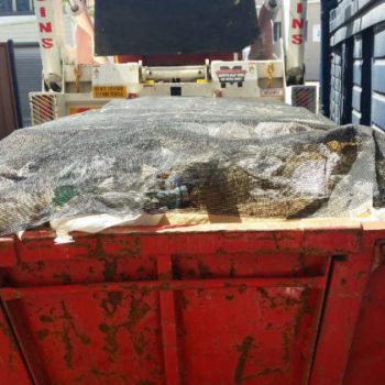 Estimating Skip Bin Loads