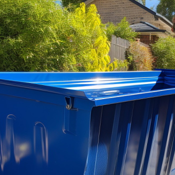 The Benefits of Using Skip Bins for Home Renovations