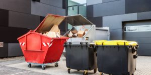 What Can Go in a Skip Bin in Australia?